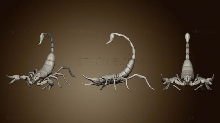 3D model Scorpion (STL)